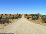 Kalahari, Sudáfrica. Author and Copyright: Marco Ramerini