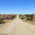 Kalahari, Sudáfrica. Author and Copyright: Marco Ramerini