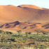 El desierto de Namib, Namibia. Autor y Copyright: Marco Ramerini