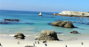 Pingüinos en Foxy Beach, Boulders Beach, Ciudad del Cabo, Sudáfrica. Autor y Copyright Marco Ramerini