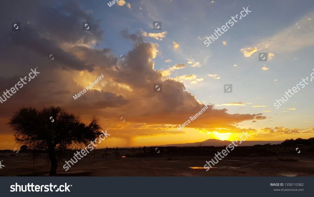 Puesta de sol con árbol solitario y tormenta formando en la distancia en las tierras áridas del desierto de Atacama, Chile. Autor y Copyright Marco Ramerini