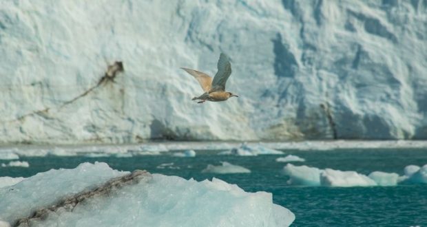 Volando en el hielo, Groenlandia. Autor y Copyright Marco Ramerini