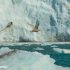 Volando en el hielo, Groenlandia. Autor y Copyright Marco Ramerini
